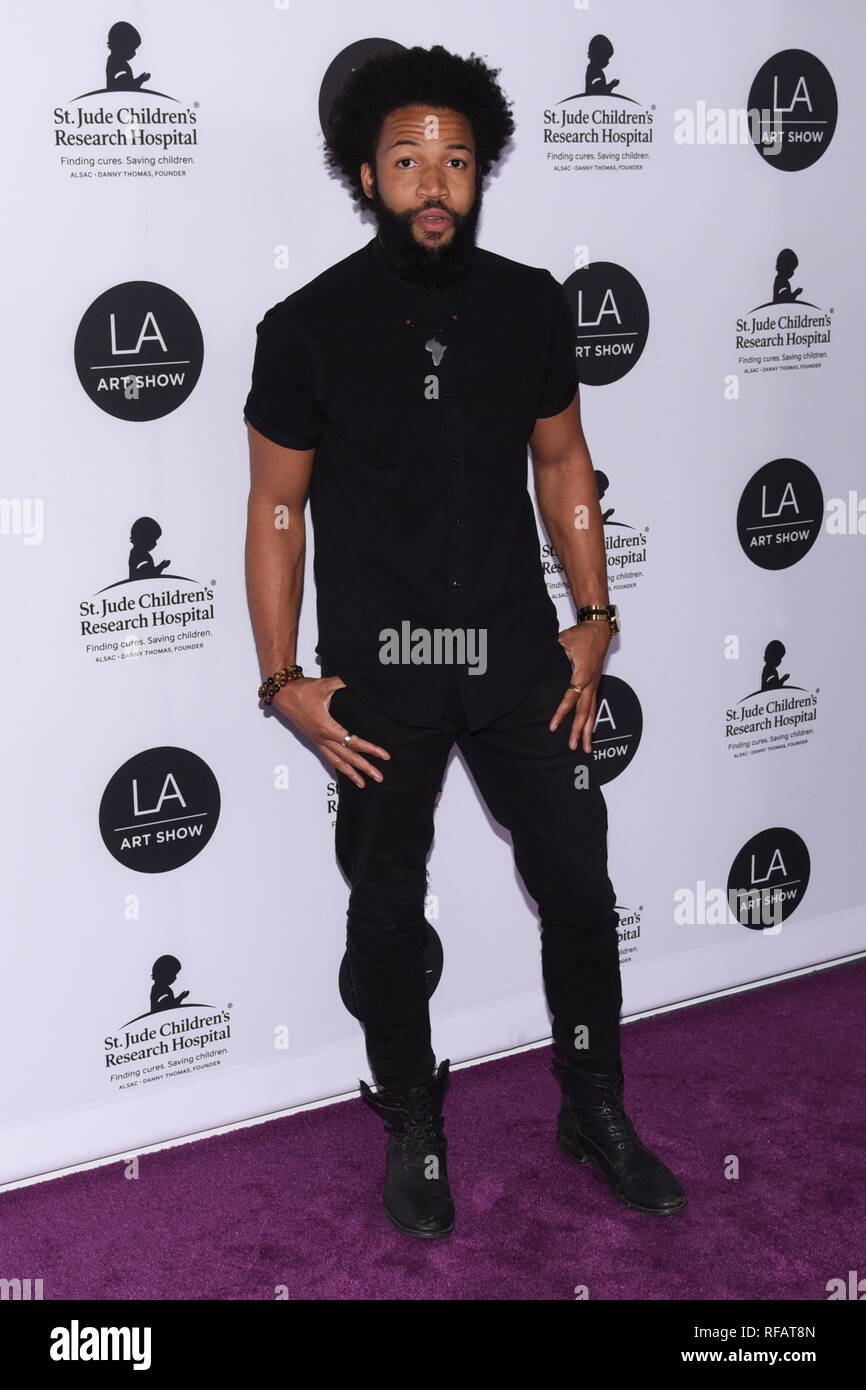 Los Angeles, California, USA. 23rd Jan, 2019. DENIM RICHARDS attends