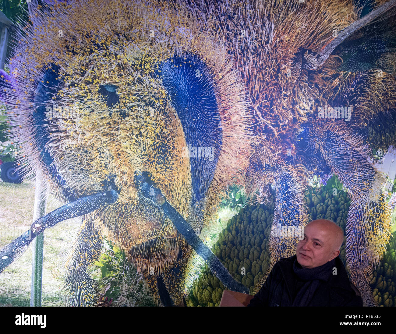 Leipzig, Germany. 25th Jan, 2019. Yadegar Asisi stands in the panometer in front of his new 360-degree panorama. Under the title 'Carolas Garden - A Paradise on Earth' the work shows a garden from the perspective of a pollen grain in the middle of the calyx of a chamomile. The panorama thus opens up views and insights into structures and details that otherwise remain hidden from the human eye. The new panorama will be available for visitors from 26.01.2019. Credit: Hendrik Schmidt/dpa-Zentralbild/dpa/Alamy Live News Stock Photo