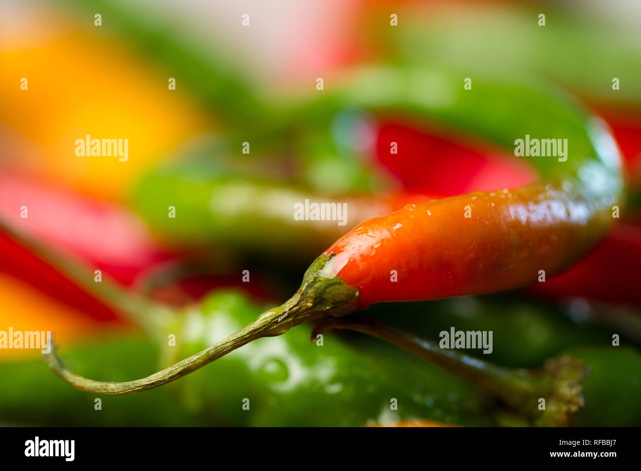 Hot peppers come from a variety of cultivars within Capsicum sp. and