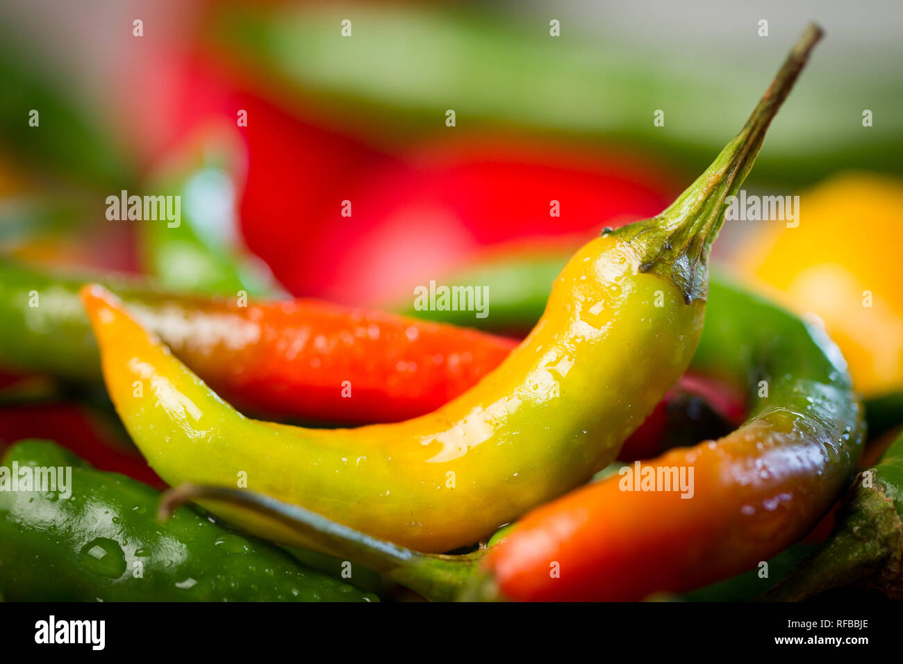 Capsaicin hires stock photography and images Alamy