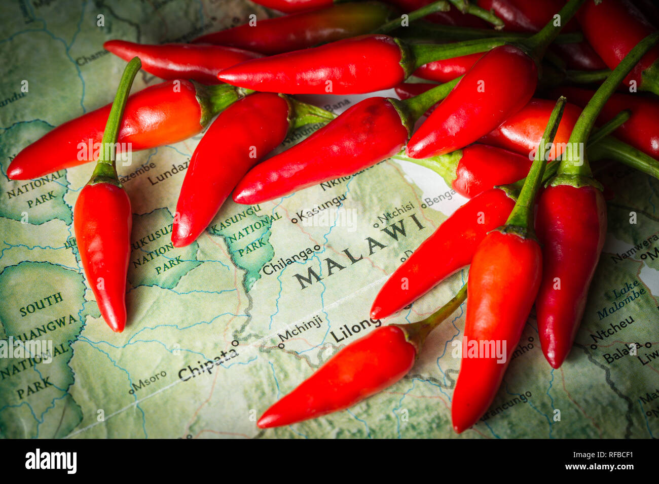 Bird's eye chili, Capsicum annuum, also known as piri piri is a common element in cuisine from Malawi. Stock Photo