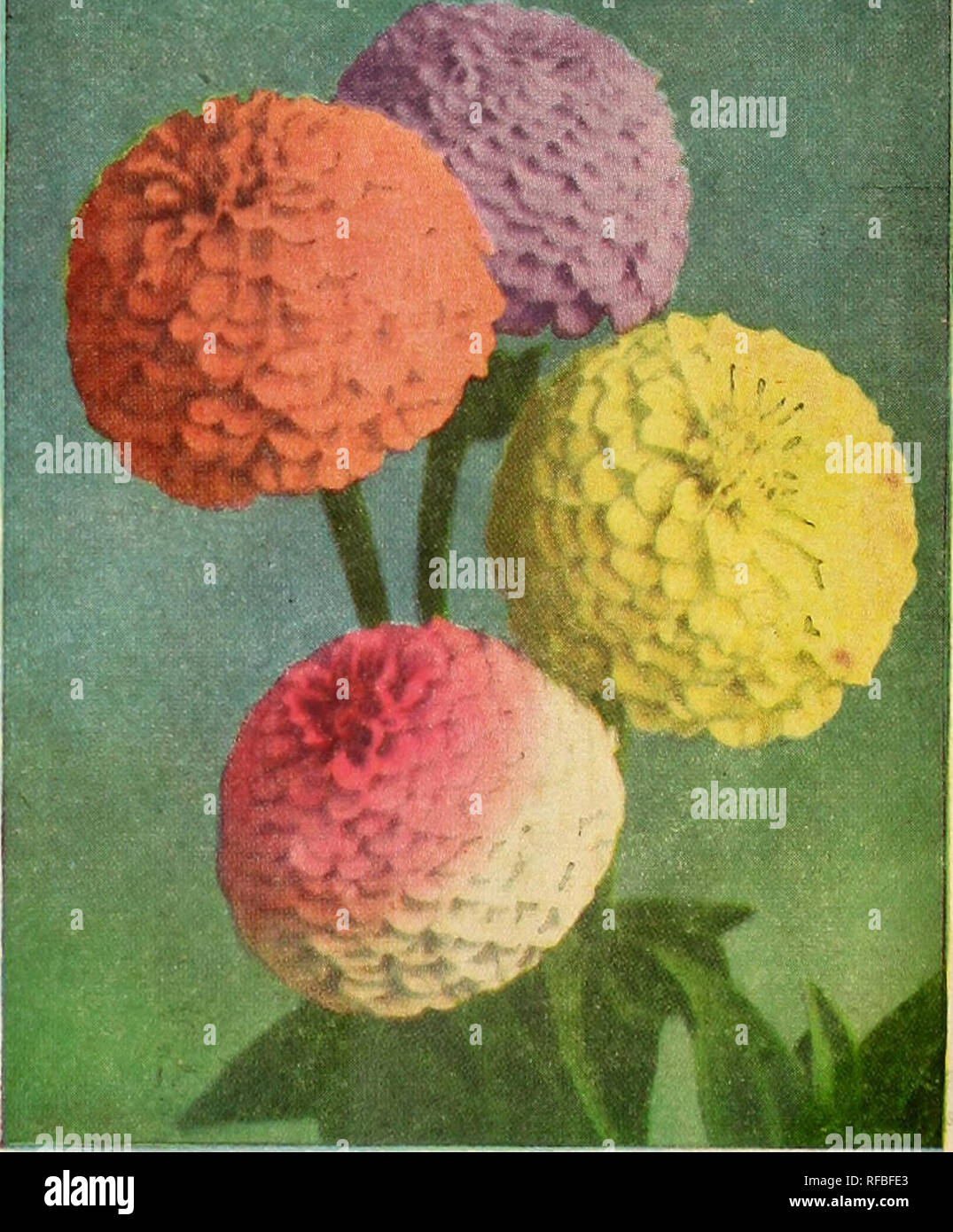 Catalog Spring 1957 Nurseries Horticulture North Carolina