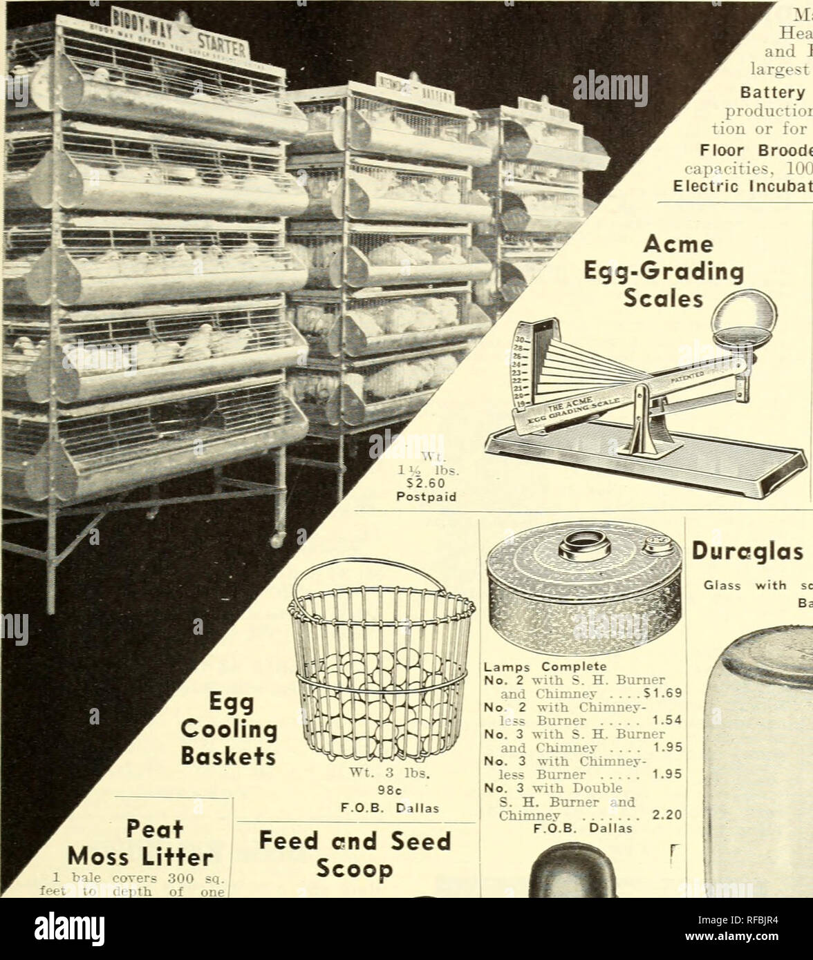 . Catalog 1946 magnolia seeds are good seeds.. Seeds Catalogs
