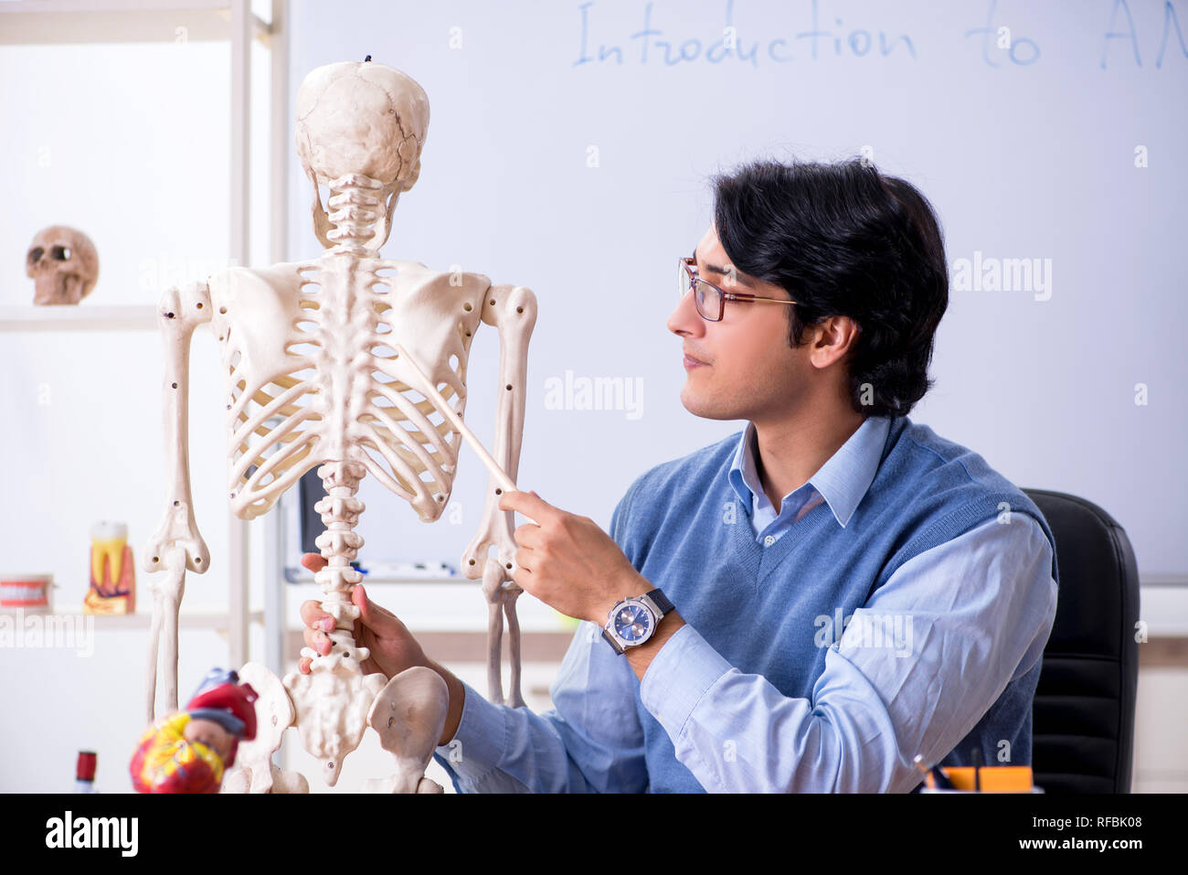 Young lecturer teacher teaching anatomy Stock Photo Alamy