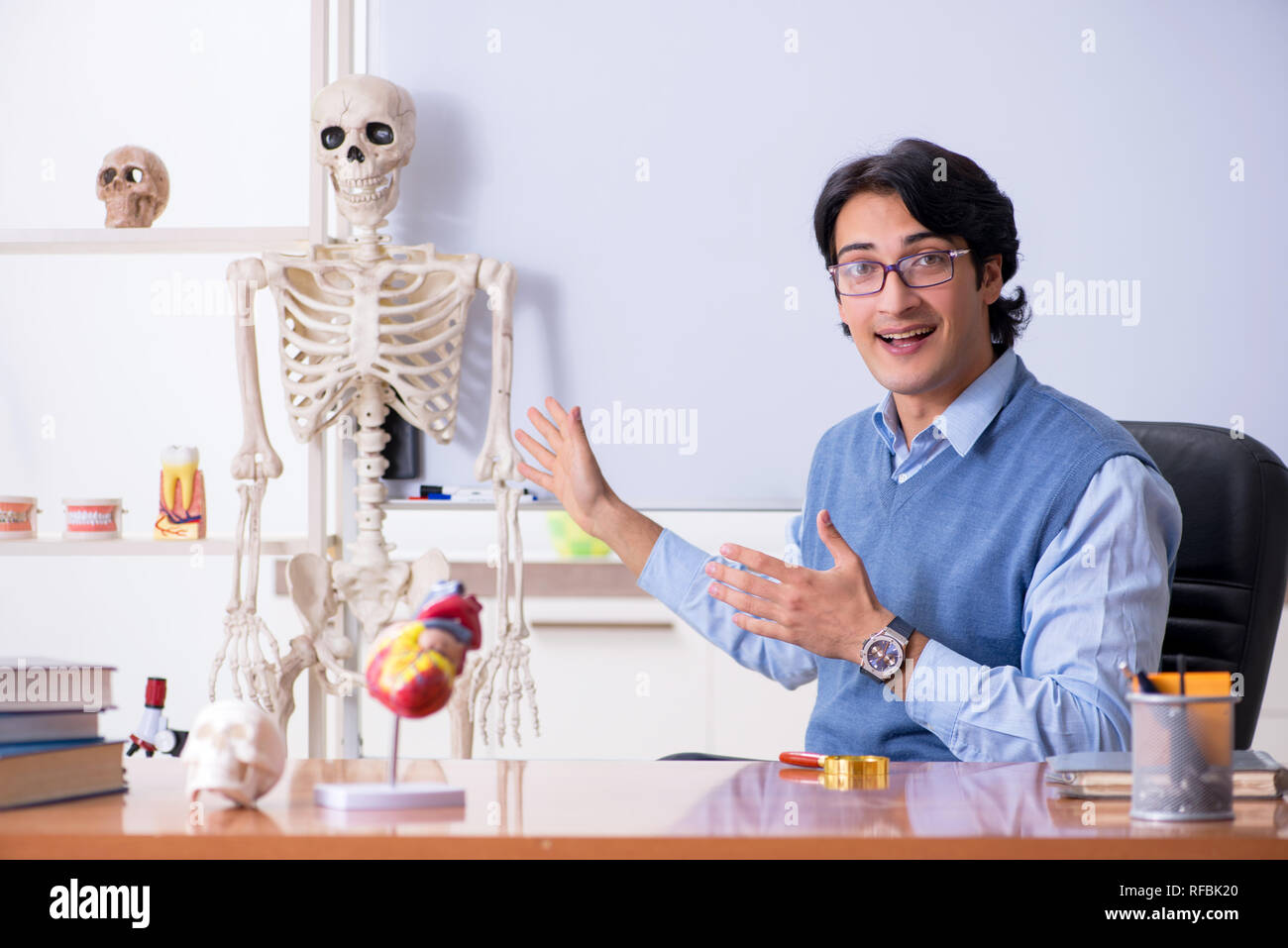 Young lecturer teacher teaching anatomy Stock Photo Alamy