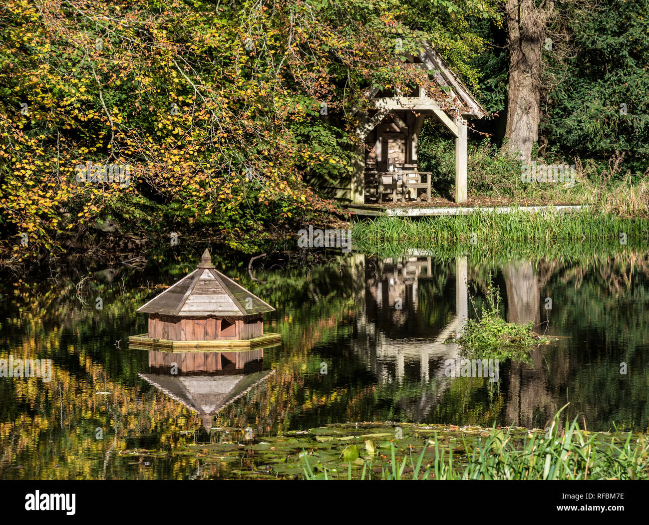Reflections of a duck house and pond in Autumn Stock Photo