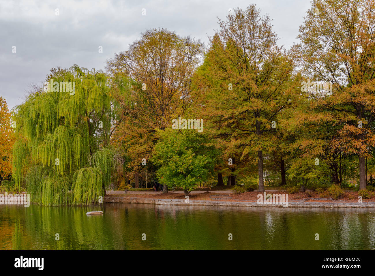 Tree leaves in Centennial Park are turning color as Autumn arrives in Nashville. Stock Photo