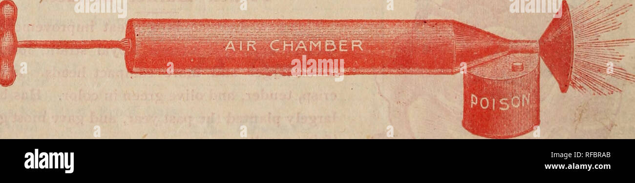 Japanese codling hi-res stock photography and images - Alamy