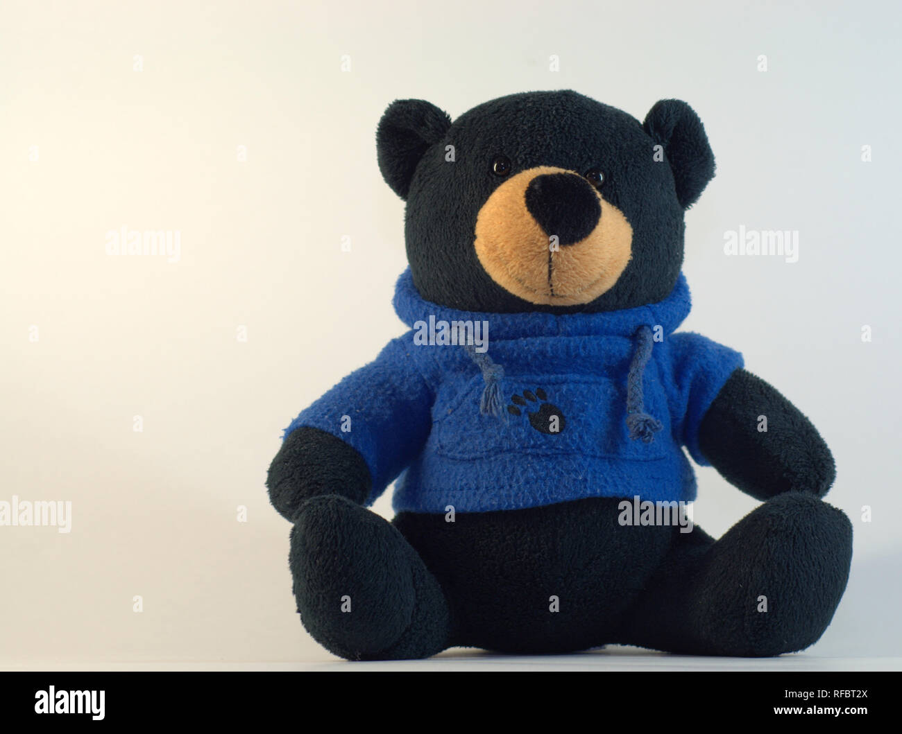 teddy bear black