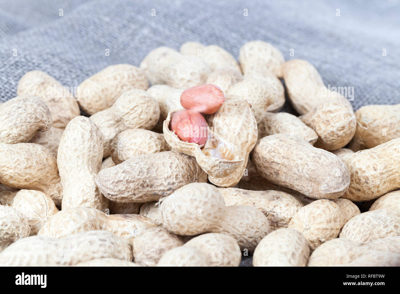 a large amount of peanuts in the shell during peeling from the shell