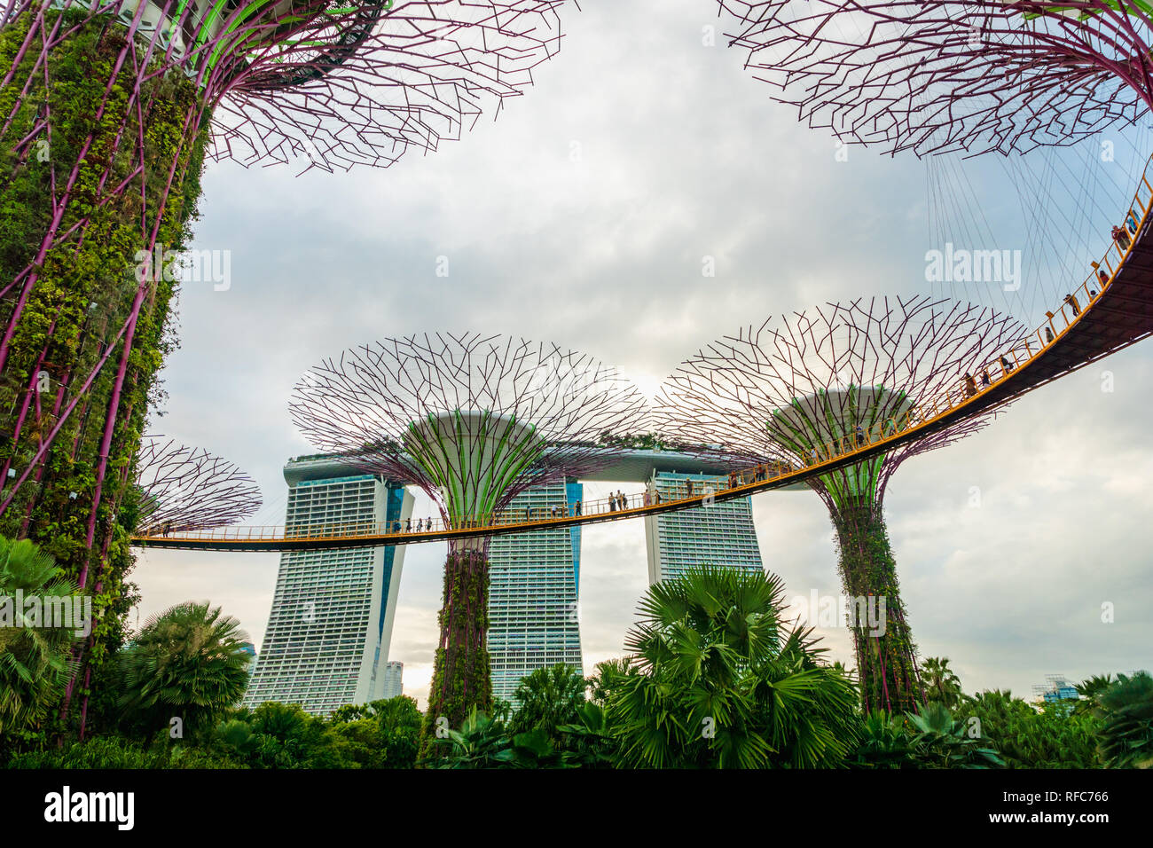 Singapore - January 2019: Gardens by the bay with the Supertree Grove in Singapore near Marina Bay Sands hotel Stock Photo
