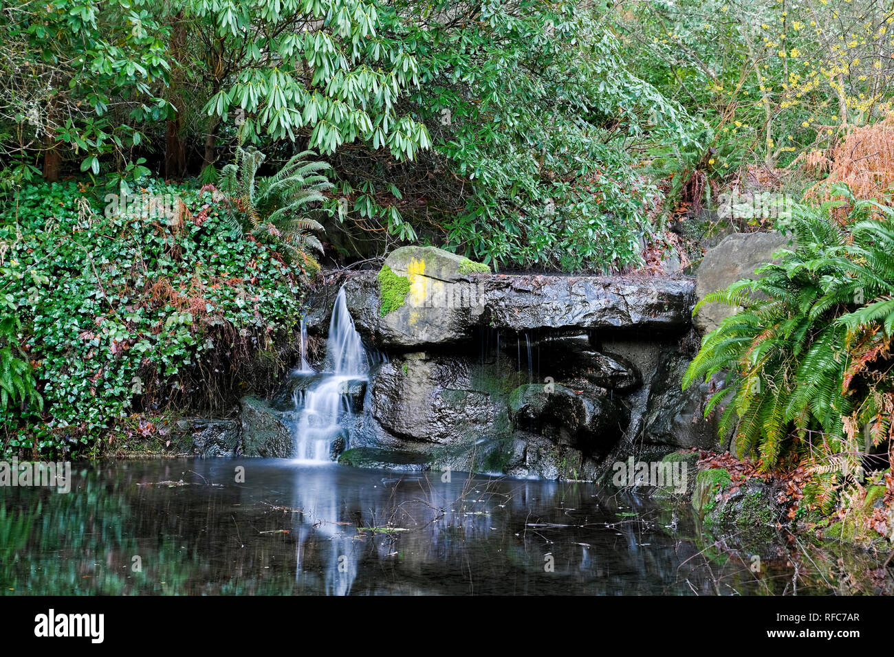 stream with waterfall, Stanley Park, Vancouver, British Columbia, Canada Stock Photo