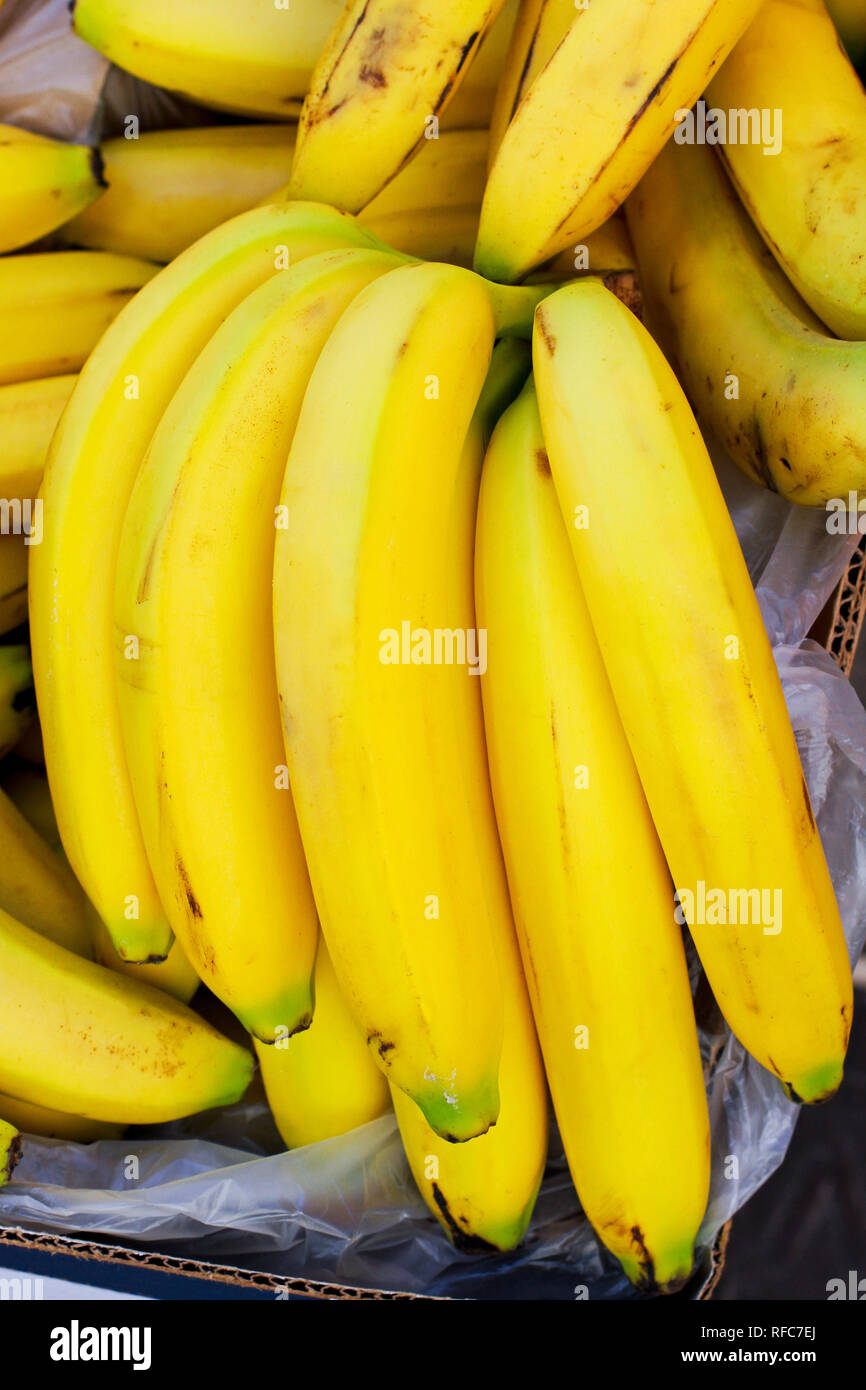 Bunch of ripe bananas · Graphic Yard