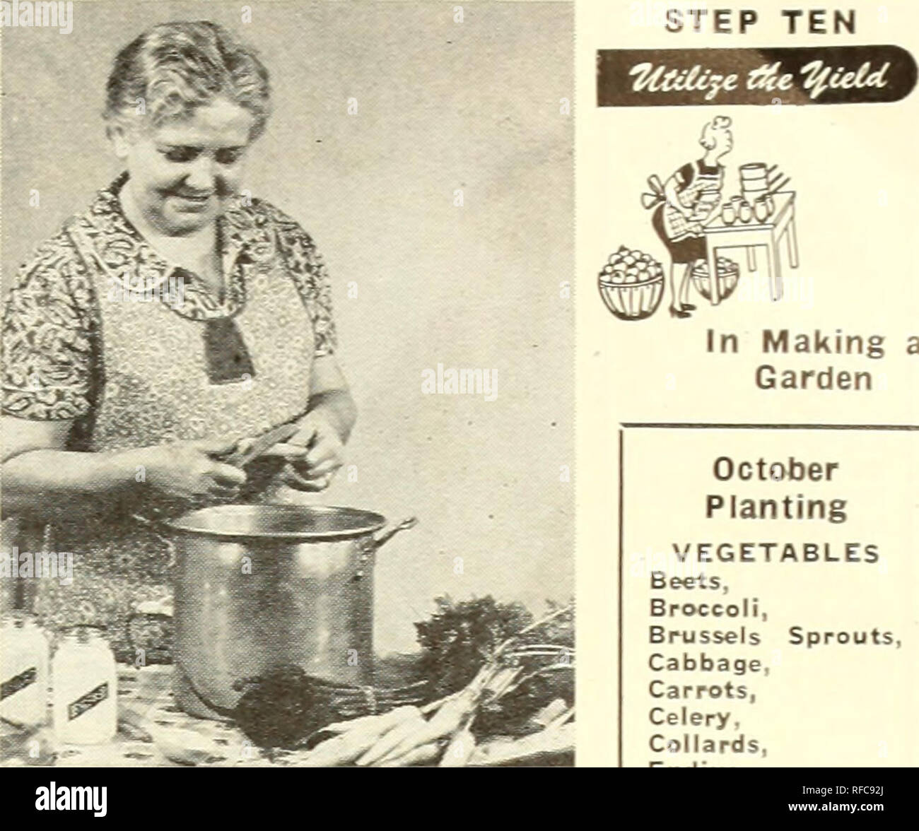 Catalog 1945 Seeds Catalogs Vegetables Catalogs Plants