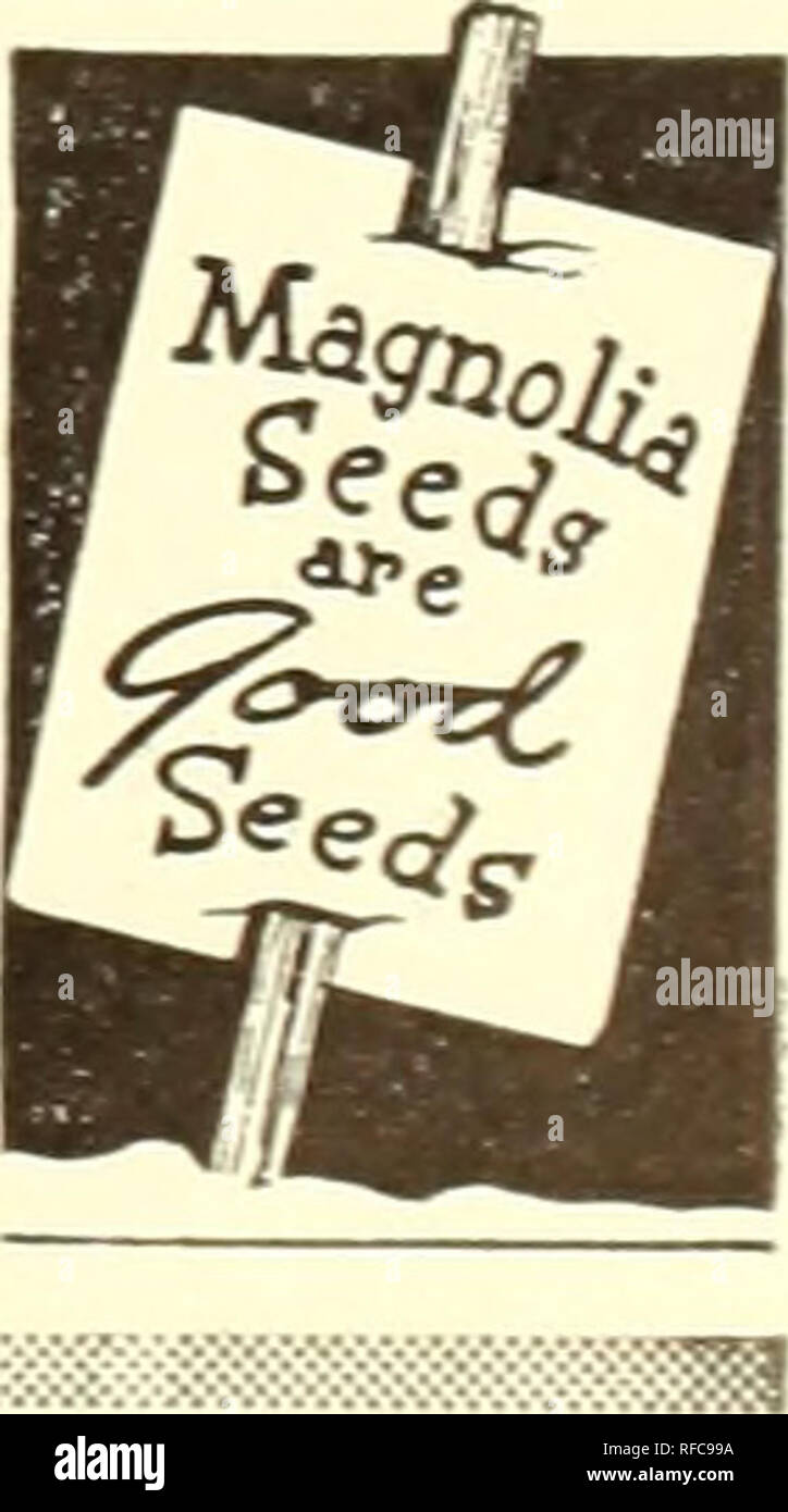 Catalog 1946 Magnolia Seeds Are Good Seeds Seeds Catalogs Vegetables Catalogs Plants Catalogs Flowers Catalogs Gardening Equipment And Supplies Catalogs Georgia Collards Magnolia Collards Culture Especially Good For Winter Greens Grown