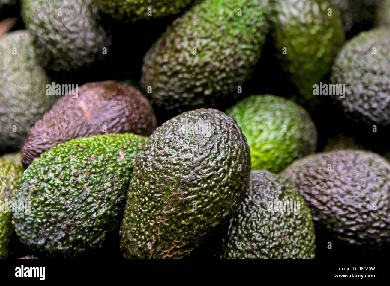 Bunch of avocados hi-res stock photography and images - Alamy