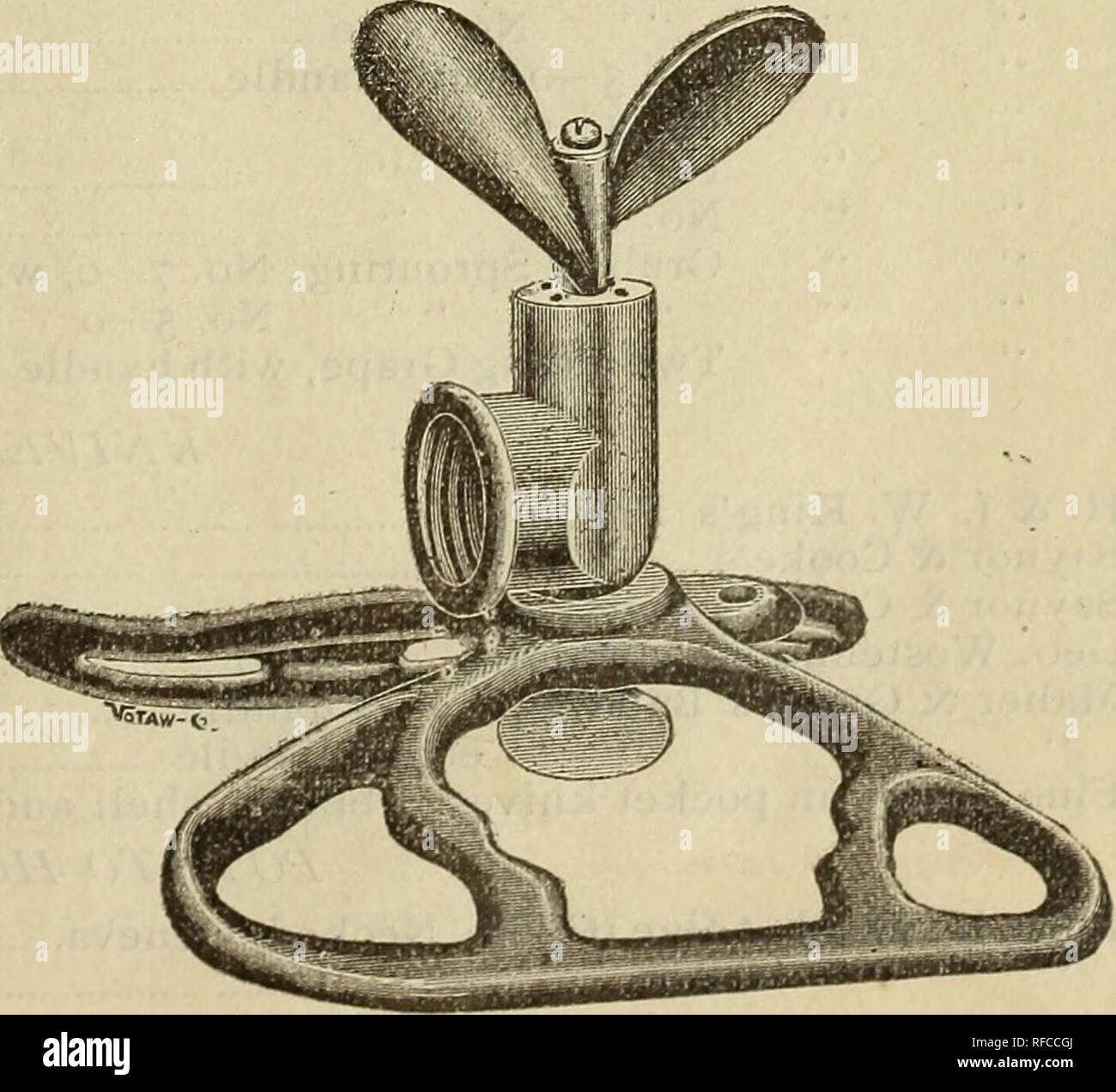 Codling Moths High Resolution Stock Photography and Images - Alamy