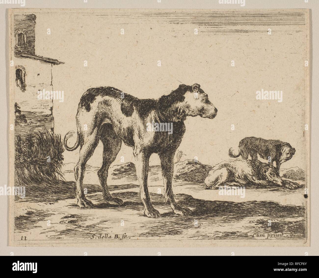 Plate 11: dogs, from 'Various animals' (Diversi animali). Artist: Stefano della Bella (Italian, Florence 1610-1664 Florence). Dimensions: Sheet (trimmed to plate): 3 3/8 × 4 1/4 in. (8.6 × 10.8 cm). Series/Portfolio: 'Various animals' (Diversi animali). Date: ca. 1641. Museum: Metropolitan Museum of Art, New York, USA. Stock Photo