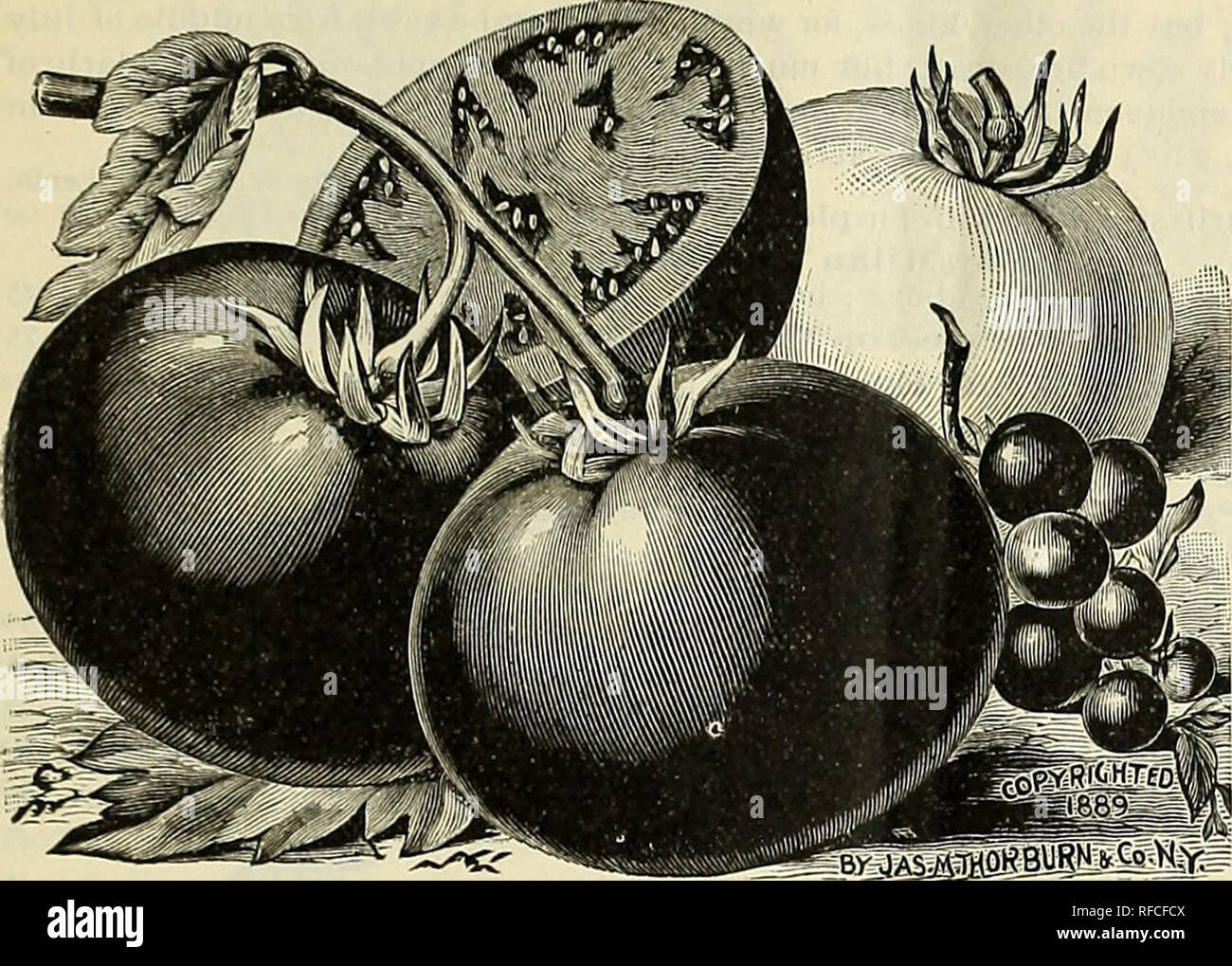 1624 1625 High Resolution Stock Photography and Images Alamy