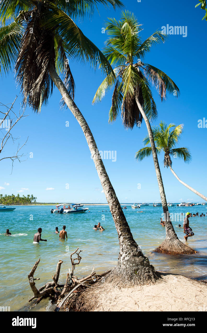 BAHIA, BRAZIL - MARCH, 2018: Brazilians relax in the shallows of a rising sea eroding the base of palm trees on the beach of a remote island village. Stock Photo