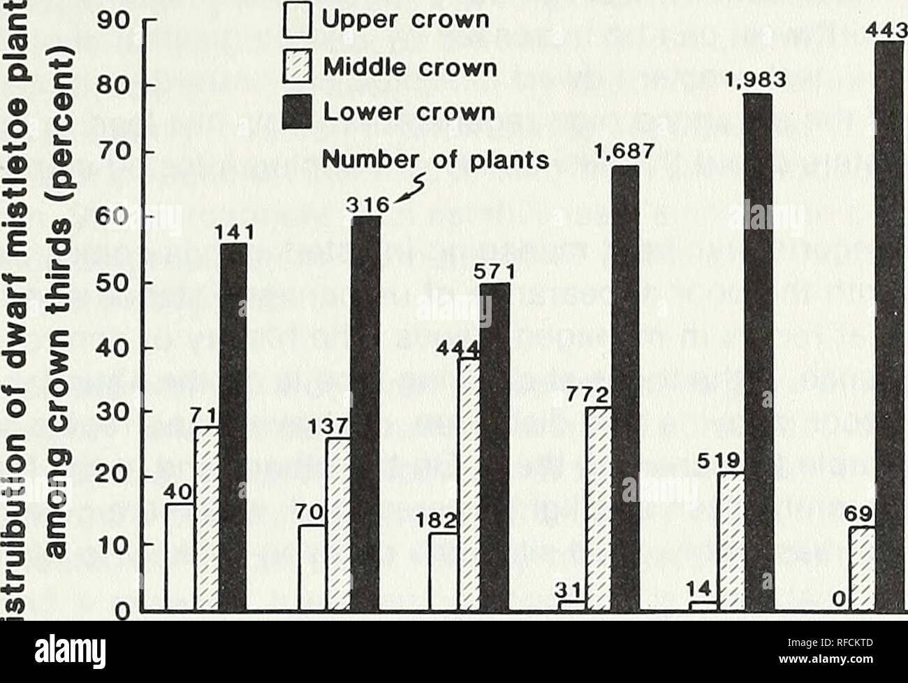 . Response of dwarf mistletoe-infested ponderosa pine to thinning. Arceuthobium Propagation; Ponderosa pine Diseases and pests; Ponderosa pine Thinning. (0. Q 1956 1960 1963 1968 1970 1974 Year Figure 6 —Distribution, among crown thirds, of the total dwarf mistletoe plants (7,440) growing on 54 young ponderosa pines between 1945 and 1974. Plant numbers are reported just pre- ceding stand release in 1956; when most latent dwarf mistle- toe plants had emerged after stand release in 1960; immedi- ately preceding accelerated leader elongation in 1963; when rapid leader growth had stabilized in 196 Stock Photo
