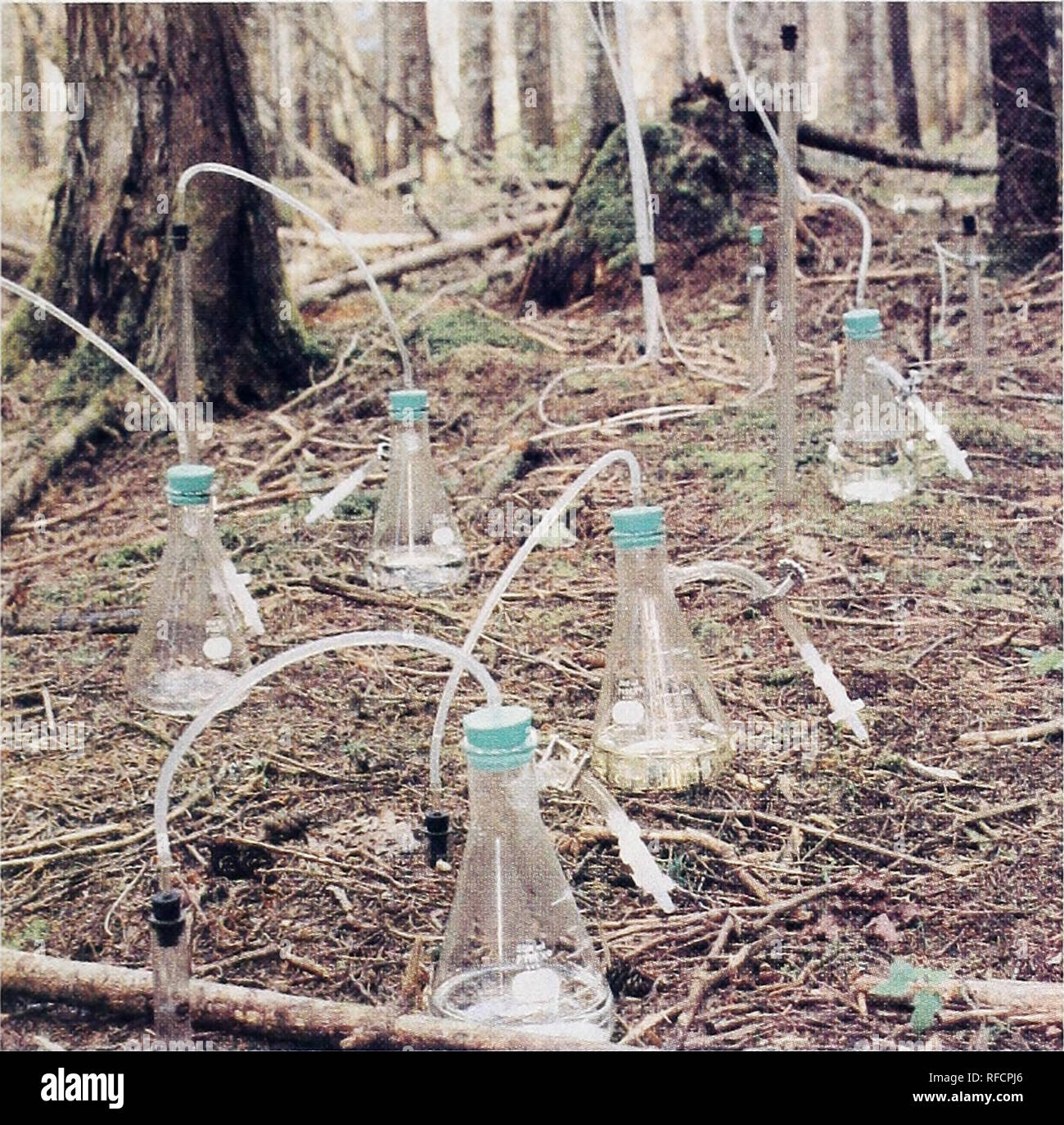 . 1980-1990 national program of research for forests and associated rangelands. --. Forests and forestry Research United States; Rangelands Research United States. Samples of soil solutions, extracted with suction lysimeters, provide information about changes in acid rain as it passes through the soil. Researcher records the call of a ruffed grouse. The tape helps biologists to find grouse broods, manage populations, and assess habitat quality. Increasing the productivity of the eastern hard- wood resource provides many challenges to research. methods, including the selection of resistant tree Stock Photo