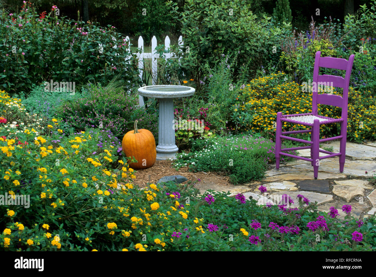 63821-12517 Fall Garden Display - Purple chair, pumpkin, bird bath & fence in flower bed  Marion Co.  IL Stock Photo