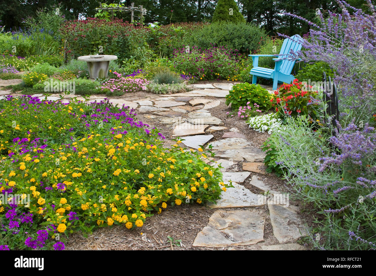 63821-19406 Flower garden with stone path, blue chair, birdbath. Homestead Purple Verbena, yellow lantana, Russian Sage, Gomphrena IL Stock Photo