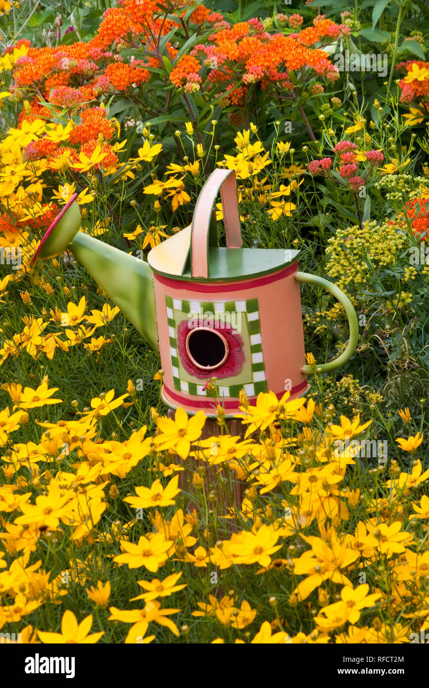 63821-205.10 Watering can birdhouse  in garden with Threadleaf Coreopsis (Coreopsis verticillata 'Golden Showers' Common Rue (Ruta graveolens) and But Stock Photo