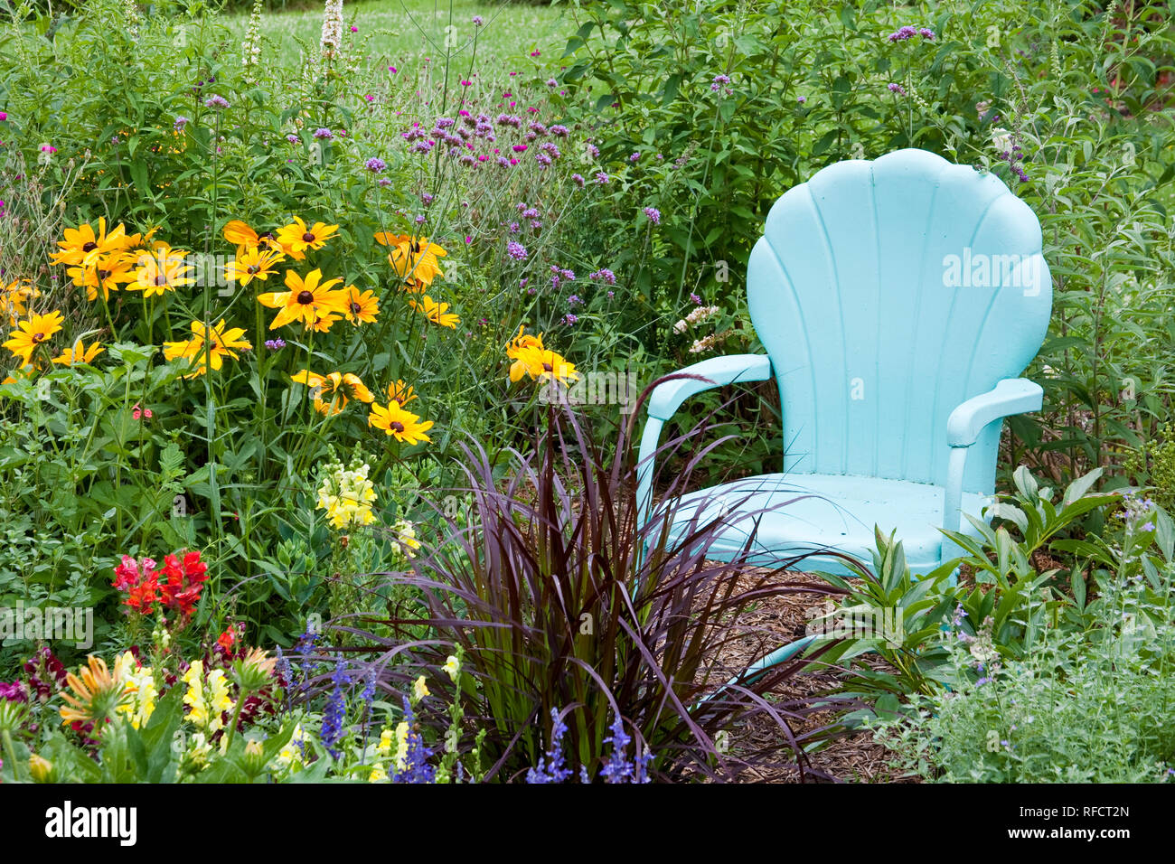 63821-206.03  Blue chair in flower garden with Snapdragons (Antirrhinum),  Blue Victoria Salvia (Salvia farinacea), Indian Summer Rudbeckia (Rudbeckia Stock Photo