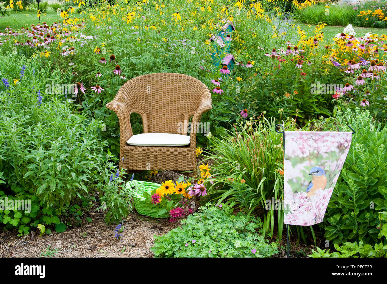 63821-206.07  Wicker chair with basket, garden flag and birdhouse in flower garden with Black-eyed Susans (Rudbeckia hirta), Purple Coneflowers (Echin Stock Photo