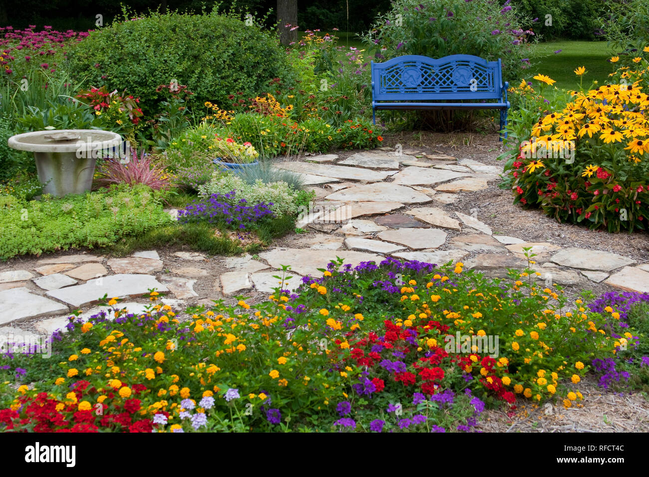 63821-21611 Blue bench, stone path & bird bath in flower garden.  Black-eyed Susans (Rudbeckia hirta)  Red Dragon Wing Begonias (Begonia x hybrida) Ho Stock Photo