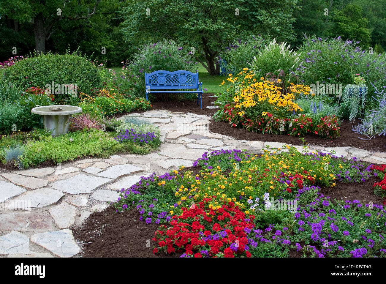 63821-21617 Blue bench, bird bath and stone path in flower garden.  Black-eyed Susans (Rudbeckia hirta)  Red Dragon Wing Begonias (Begonia x hybrida)  Stock Photo