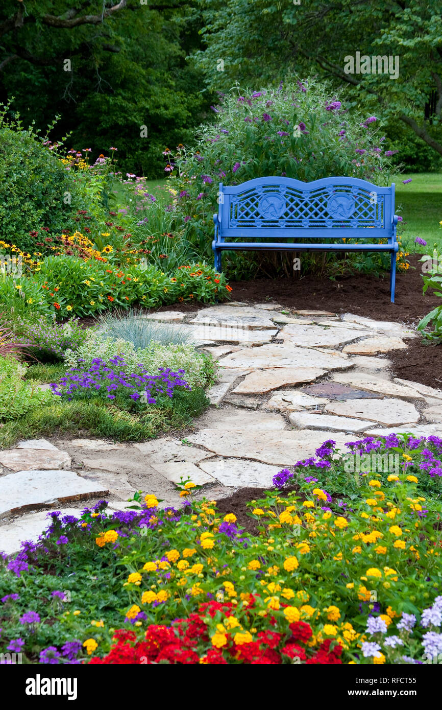 63821-21806 Blue bench and stone path in flower garden.  Homestead Purple Verbena (Verbena canadensis), Red Verbena, New Gold Lantana (Lantana camara) Stock Photo