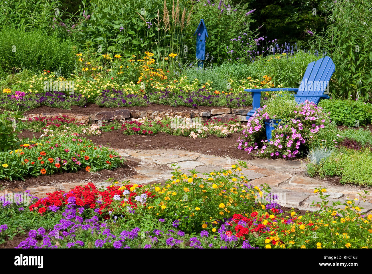 63821-21818 Flower garden with blue Adirondack chair and blue bird house. Butterfly Bushes, Peach & Purple Verbenas, Yellow Lantana (Lantana camara),  Stock Photo