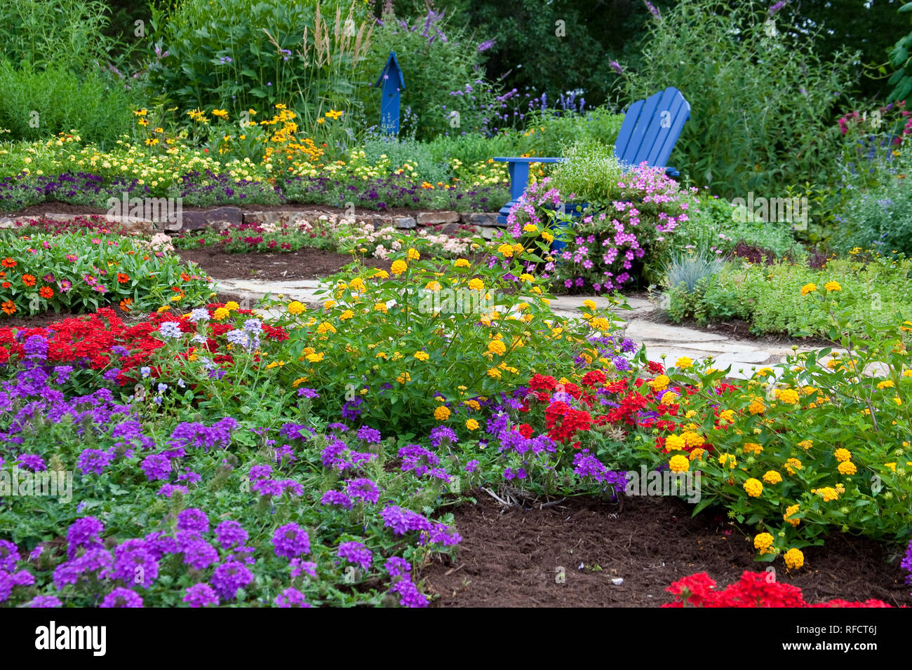 63821-21906 Flower garden with blue Adirondack chair and blue birdhouse.  Butterfly Bushes, Peach, Red  & Purple Verbenas, Yellow & New Gold Lantana ( Stock Photo