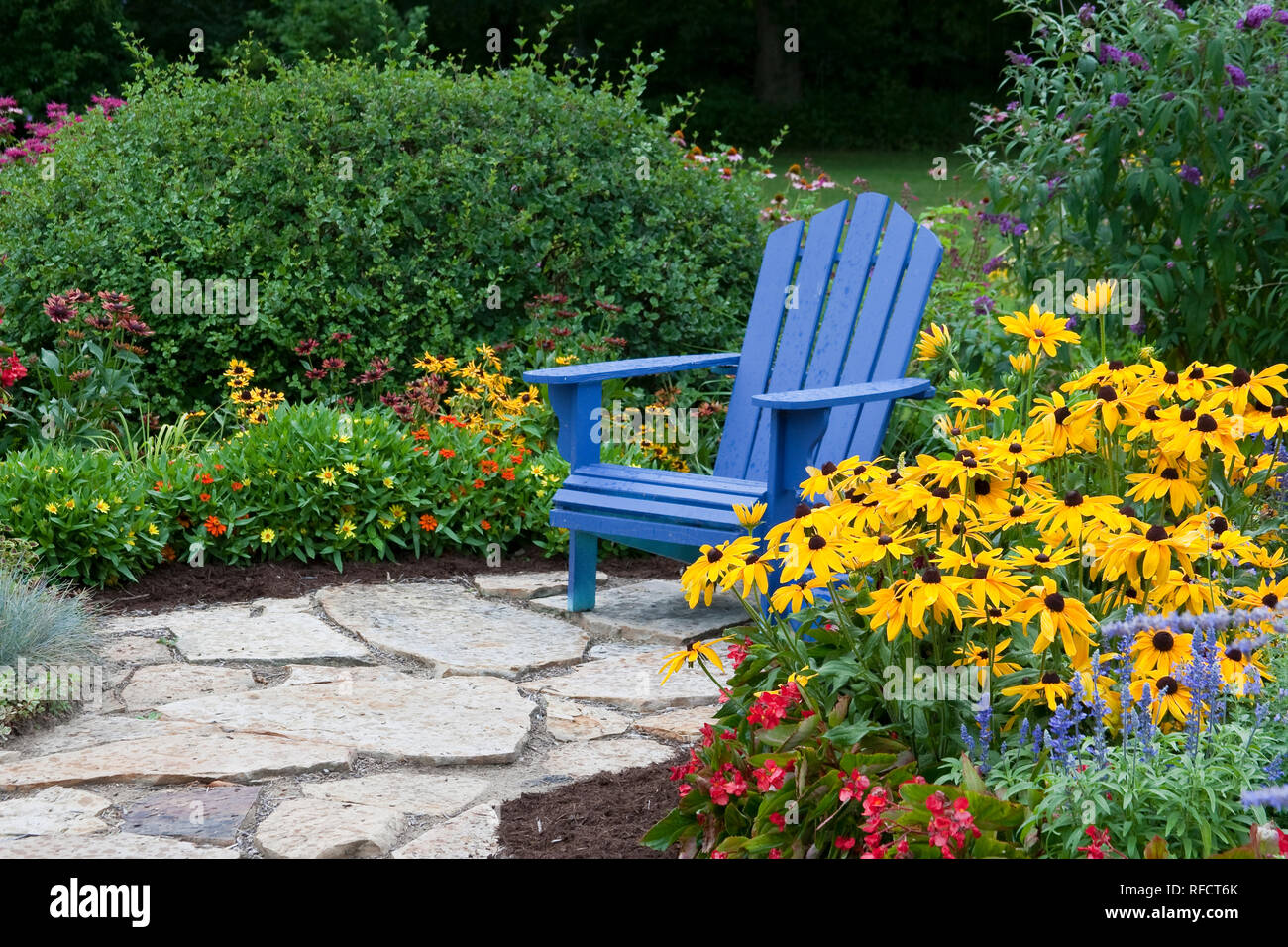 63821-21909 Flower garden with blue Adirondack chair and stone path.  Black-eyed Susans (Rudbeckia hirta)  Red Dragon Wing Begonias, zinnias, Blue Vic Stock Photo