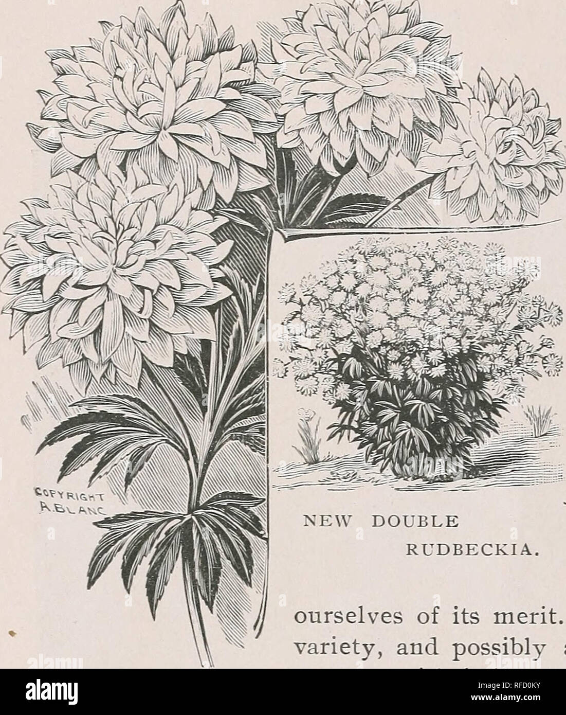 . Trade list of American plants and shrubs. Nursery stock, New Jersey