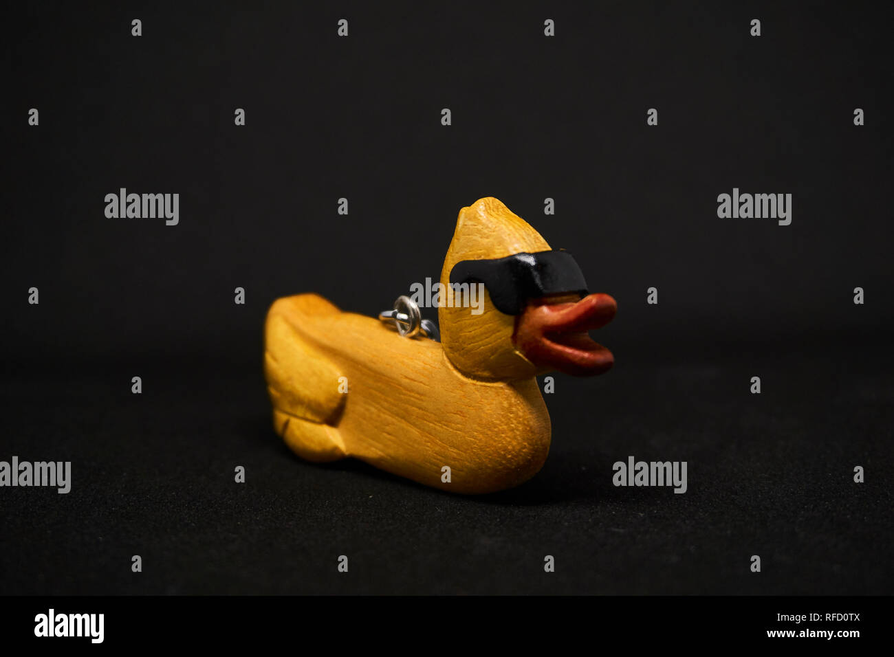 A cool duck with a black background Stock Photo