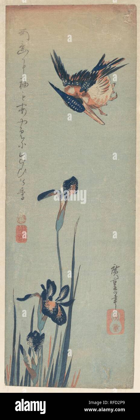 Kingfisher and Iris. Artist: Utagawa Hiroshige (Japanese, Tokyo (Edo) 1797-1858 Tokyo (Edo)). Culture: Japan. Dimensions: 15 x 5 1/8 in. (38.1 x 13 cm). Date: 1832-34.  Amadare ni  sode mo ayame ni  nioi keri  Rain dripping from the eaves  drenches our kimono sleeves  with the fragrance of irises.  --Trans. John T. Carpenter. Museum: Metropolitan Museum of Art, New York, USA. Stock Photo