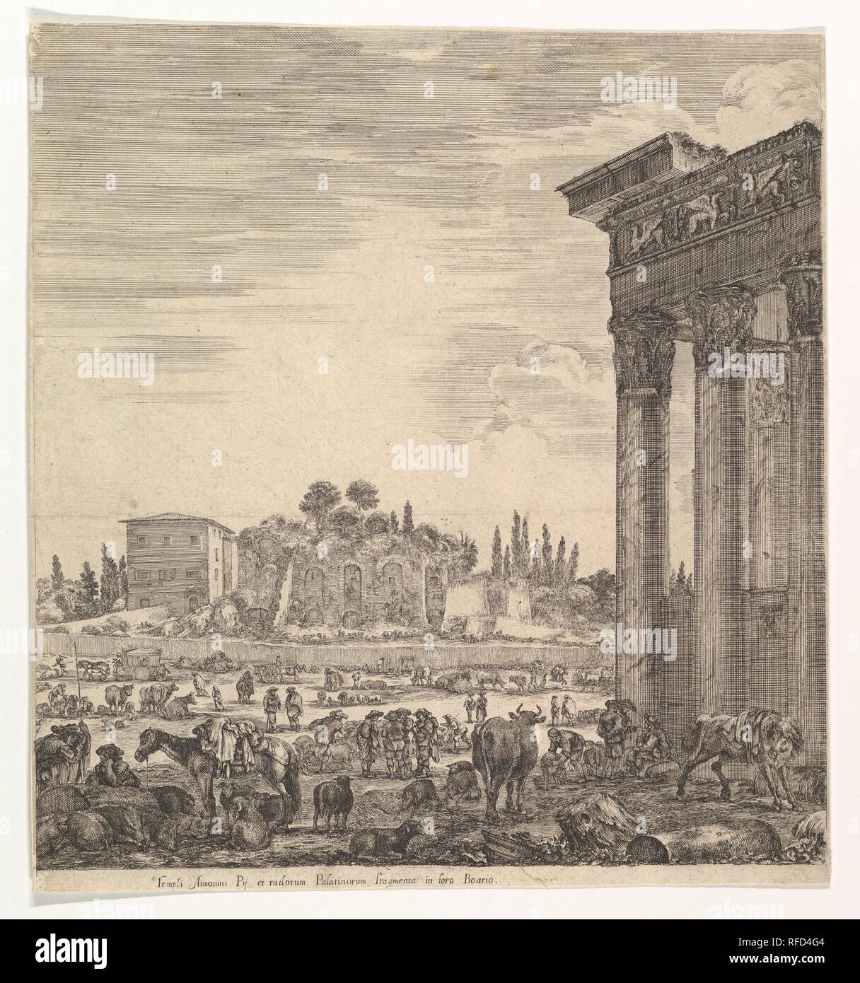 The columns of the Temple of Antoninus to right, a part of the Campo Vaccino in center and at left, along with various animals and figures, the Palatine ruins in the background, from 'Six large views, four of Rome, and two of the Roman countryside' (Six grandes vues, dont quatre de Rome et deux de la Campagne romaine). Artist: Stefano della Bella (Italian, Florence 1610-1664 Florence). Dimensions: Sheet: 11 7/8 x 11 in. (30.2 x 27.9 cm). Series/Portfolio: 'Six large views, four of Rome, and two of the Roman countryside' (Six grandes vues, dont quatre de Rome et deux de la Campagne romaine). Da Stock Photo