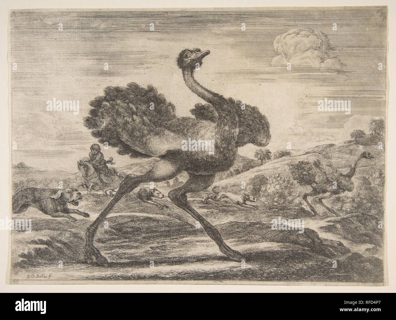 Ostrich hunt, from 'Animal hunts' (Chasses à différents animaux). Artist: Stefano della Bella (Italian, Florence 1610-1664 Florence). Dimensions: Sheet (trimmed to plate): 6 5/16 × 8 5/8 in. (16.1 × 21.9 cm). Series/Portfolio: 'Animal hunts' (Chasses à différents animaux). Date: ca. 1654. Museum: Metropolitan Museum of Art, New York, USA. Stock Photo