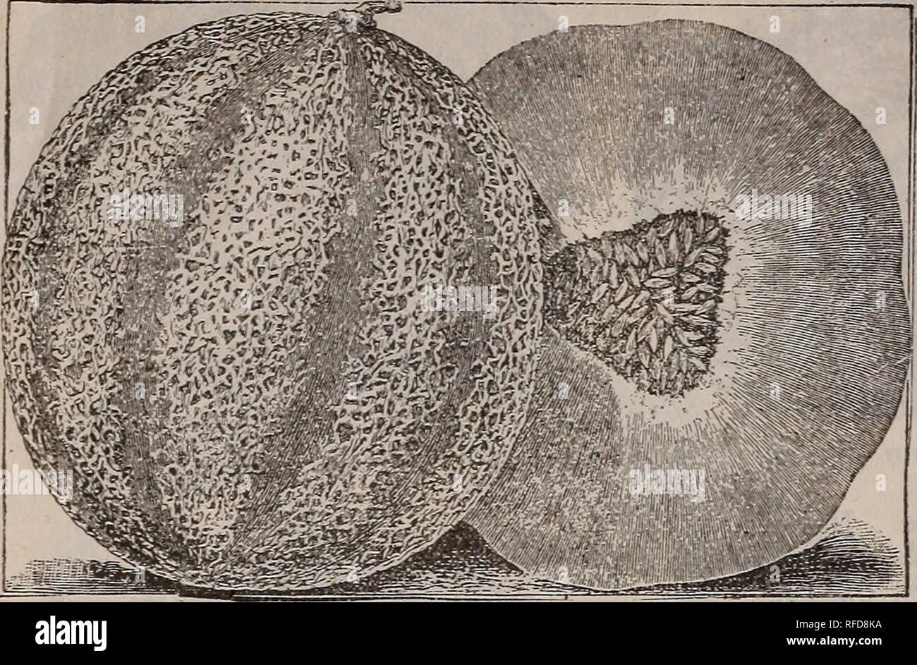 Muskmel . Descriptive catalogue of high grade seeds for the garden and farm ...