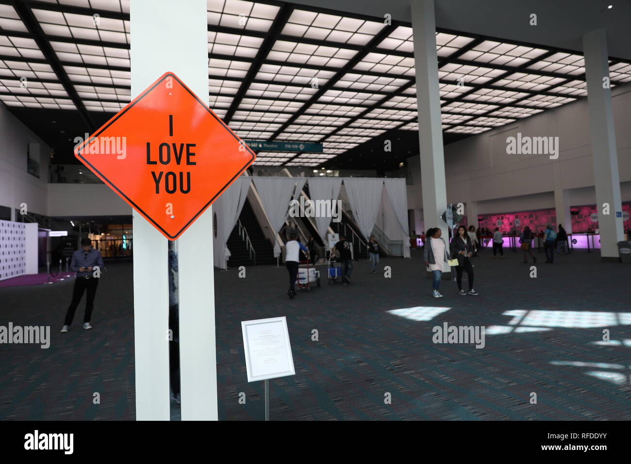Los Angeles, CA/USA 1/24/2019 The LA Art Show at Los Angeles