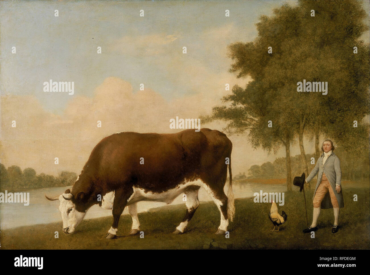 The Lincolnshire Ox. Date/Period: 1790. Painting. Oil on panel. Height: 679 mm (26.73 in); Width: 990 mm (38.97 in). Author: George Stubbs. Stock Photo