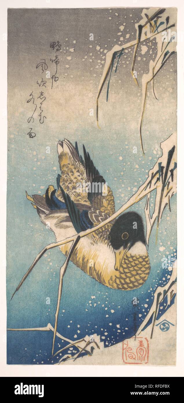 Repro Japanese Print by Utagawa Hiroshige 'Mallard and Snow Covered Reeds' 