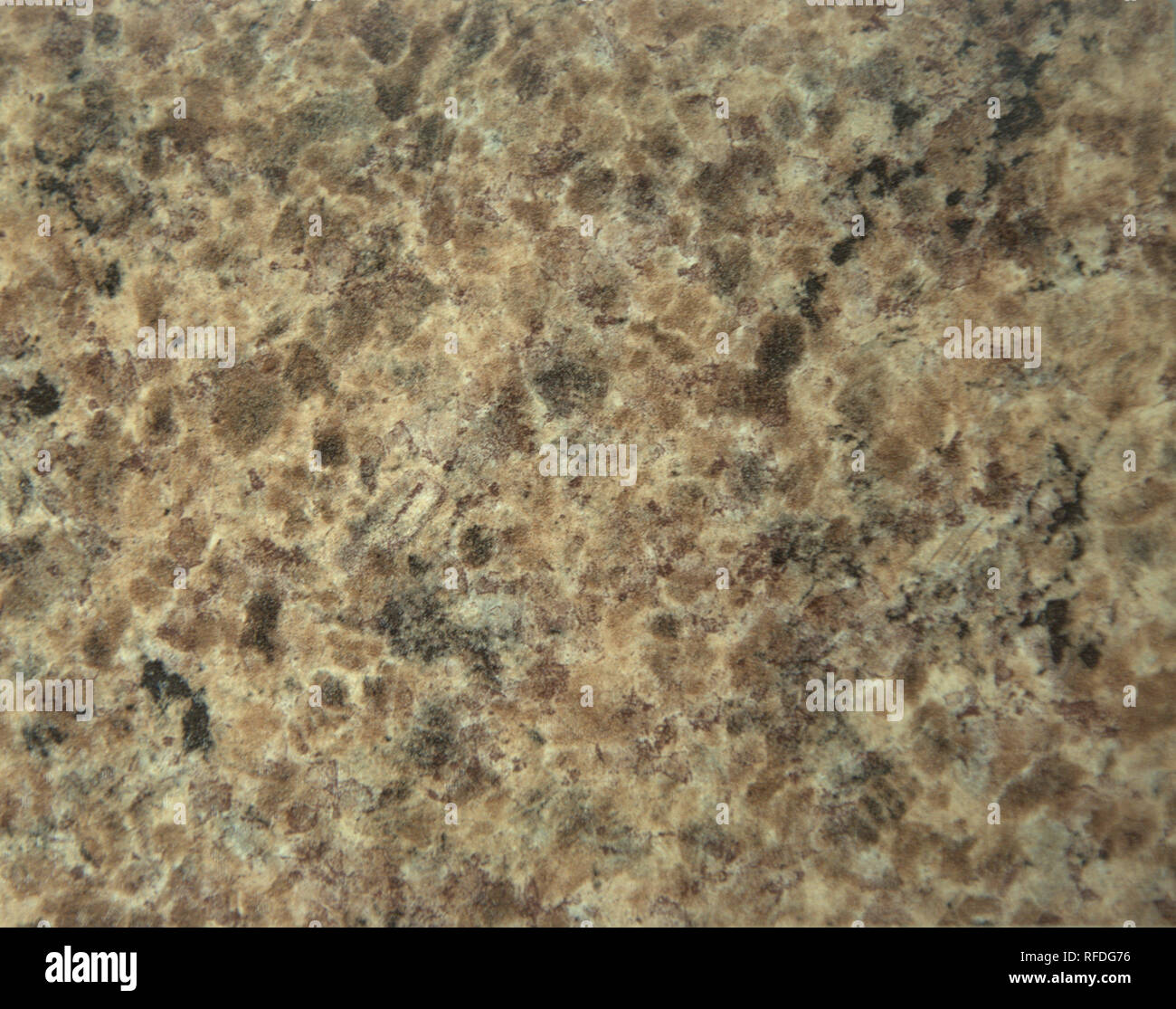 Lightbrown granite with white and black impregnation. Closeup Stock