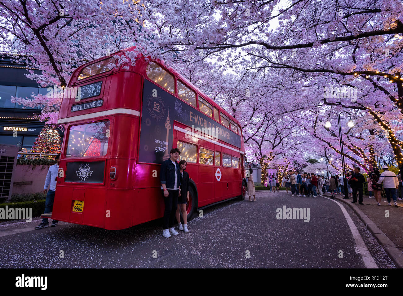 Aerial view cherry blossom festival hi-res stock photography and images ...