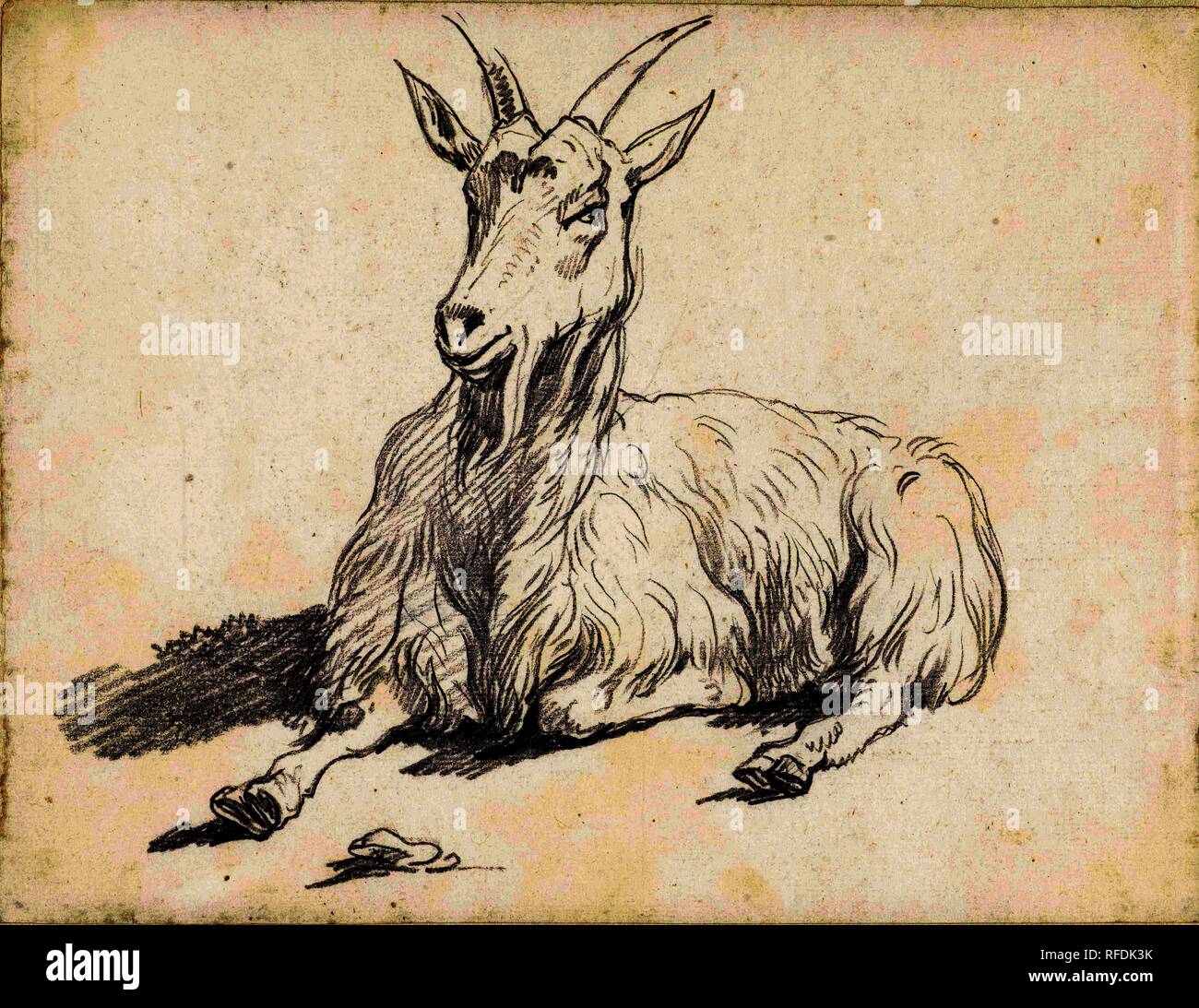 223 Mm High Resolution Stock Photography and Images - Alamy