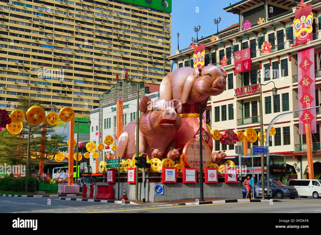 Pig figures in Chinatown, Singapore, marking the beginning of Chinese New Year 2019, the Year of the Pig Stock Photo